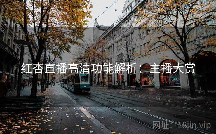红杏直播高清功能解析：主播大赏